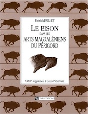 ÉPUISÉ - Le Bison dans les arts magdaléniens du Périgord (Suppl. Gallia Préh., 33), 1999, 475 p., 459 fig., 16 tabl.