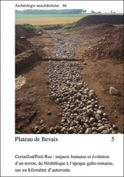Plateau de Bevaix, 5. Cortaillod-Petit Ruz : impacts humains et évolution d'un terroir, du Néolithique à l'époque gallo-romaine, sur un kilomètre d'autoroute, (Archéologie neuchâteloise 46), 2011, 2 vol.
