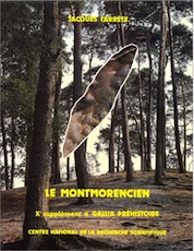Le Montmorencien (Suppl. à Gallia-Préh. 10), 1977, 230 p., 98 ill.