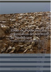 Zones de productions et organisation des territoires au Néolithique. Espaces exploités, occupés, parcourus, (actes 30e coll. inter. sur le Néolithique, Tours et Le Grand-Pressigny, oct. 2011), (51e suppl. RACF), 2014, 412 p.