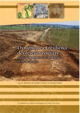 Dynamique et résilience des réseaux routiers : archéographes et archéologues en Île-de-France, (52e suppl. RACF), 2014, 260 p.