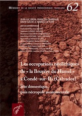 Les occupations néolithiques de