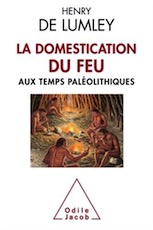 La Domestication du feu aux temps paléolithiques, 2017, 192 p.