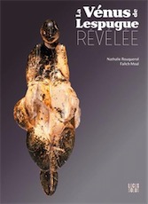 La Vénus de Lespugue révélée, 2018, 224 p.