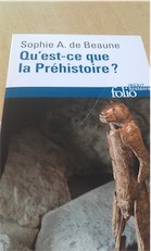Exemplaire d'occasion - BEAUNE S. de - Qu'est-ce que la Préhistoire ?, 2016, 384 p.