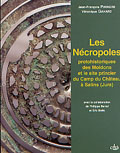 Les nécropoles protohistoriques des Moidons et le site princier du Camp du Château à Salins (Jura), 2004, 430 p.