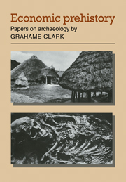 Economic Prehistory. Papers on Archaeology, 2009, 660 p.
