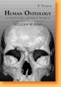 Human Osteology. A Laboratory and Field Manual, 2005, 366 p.