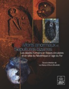Morts anormaux et sépultures bizarres. Les dépôts humains en fosse circulaires ou en silos du Néolithique à l'âge du Fer, 2010, 256 p.