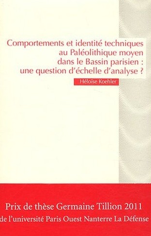 Comportements et identités techniques au Paléolithique moyen dans le Bassin parisien : une question d'échelle d'analyse ?, 2012, 350 p.
