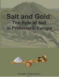 Rupture de stock - Salt and Gold. The Role of Salt in Prehistoric Europe, (actes coll. int., Provadia, Bulgarie, sept.-oct. 2010), 2012, 372 p.
