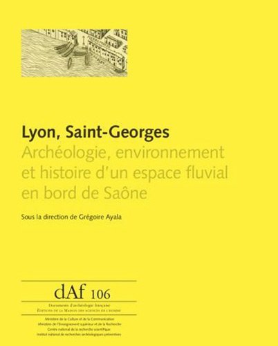 Lyon, Saint-Georges. Archéologie, environnement et histoire d'un espace fluvial en bord de Saône, (DAF 106), 2013, 496 p.