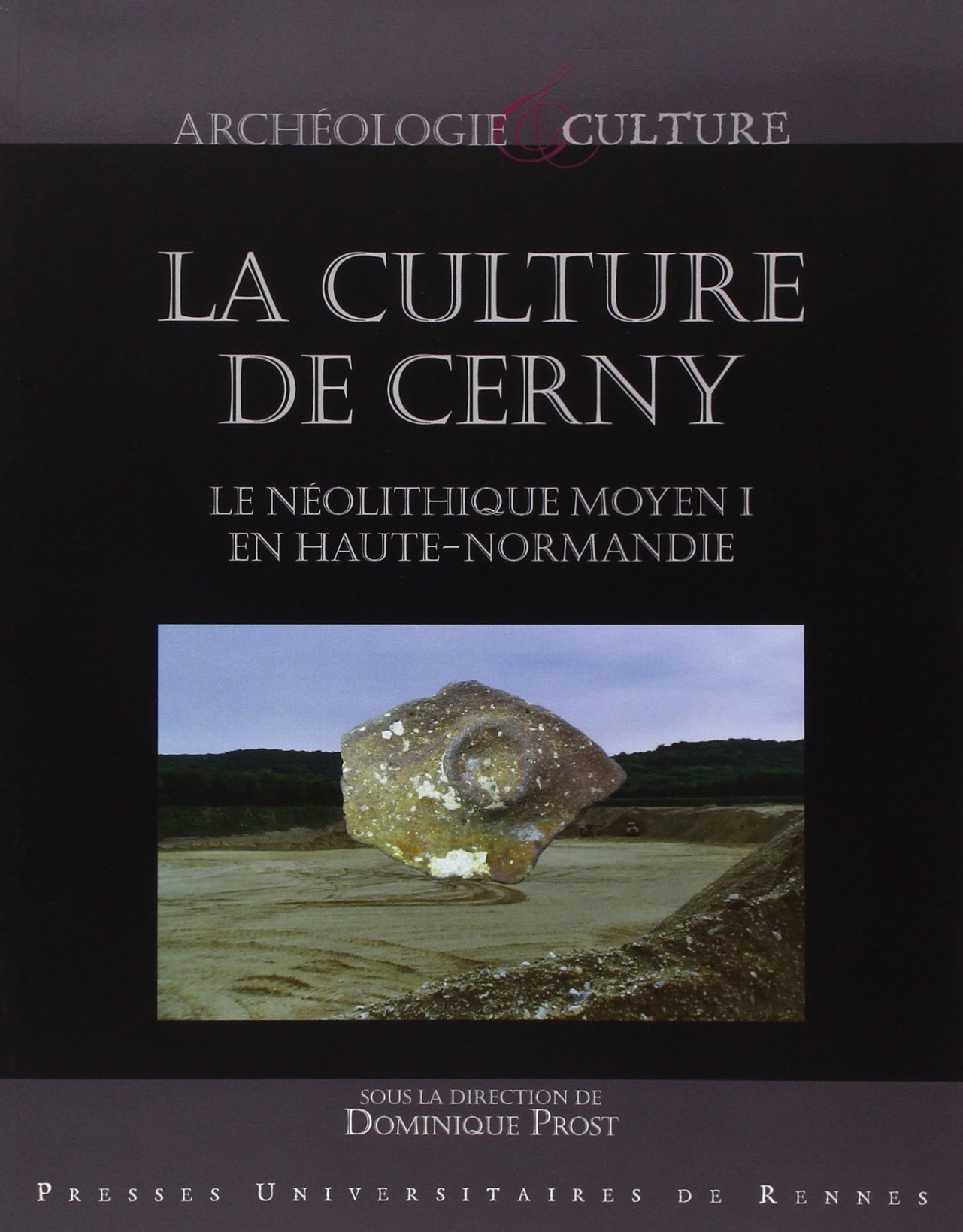 La culture de Cerny. Le Néolithique moyen I en Haute-Normandie, 2015, 300 p.