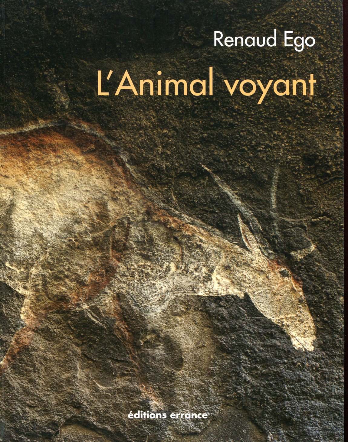 L'Animal voyant. Art rupestre d'Afrique australe, 2015, 285 p.