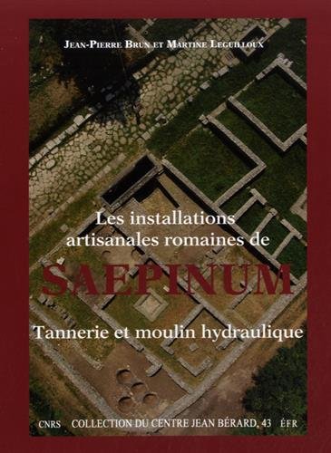 Les installations artisanales romaines de Saepinum. Tannerie et moulin hydraulique, 2015, 184 p.