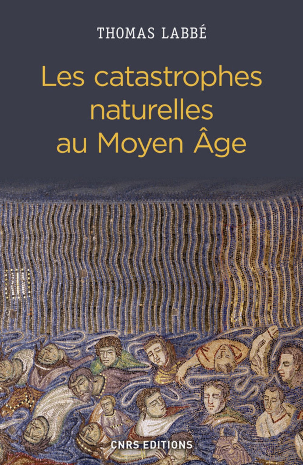ÉPUISÉ - Voir édition Poche, référence 55917 - Les catastrophes naturelles au Moyen Age, 2017, 300 p.