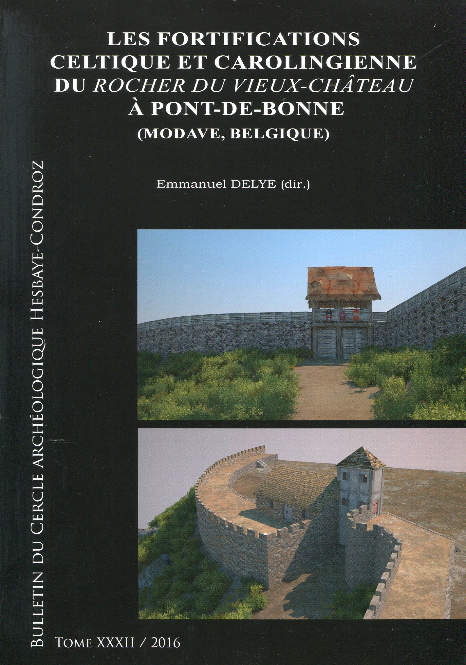 Les fortifications celtique et carolingienne du Rocher du Vieux-Château à Pont-de-Bonne (Modave, Belgique), 2016, 168 p.