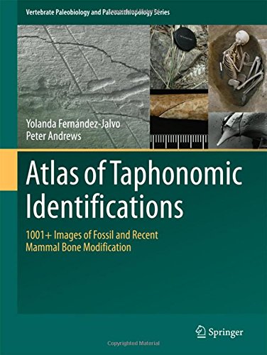 Atlas of Taphonomic Identifications. 1001+ Images of Fossil and Recent Mammal Bone Modification, 2016, 359 p.