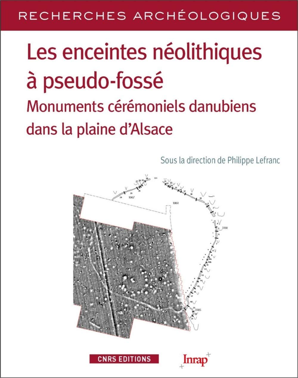 Les enceintes néolithiques à pseudo-fossé. Monuments cérémoniels danubiens dans la plaine d'Alsace, 2019, 260 p.