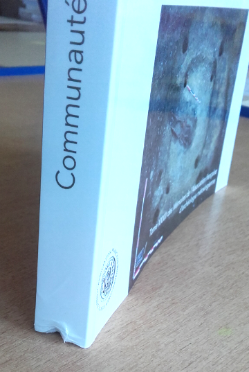 Exemplaire d'occasion - LEROY I., VERSLYPE L. (dir.) - Communauté des vivants, compagnie des morts, (actes 35e Journées internationales d'archéologie mérovingienne, Douai, oct. 2014), 2017, 346 p.