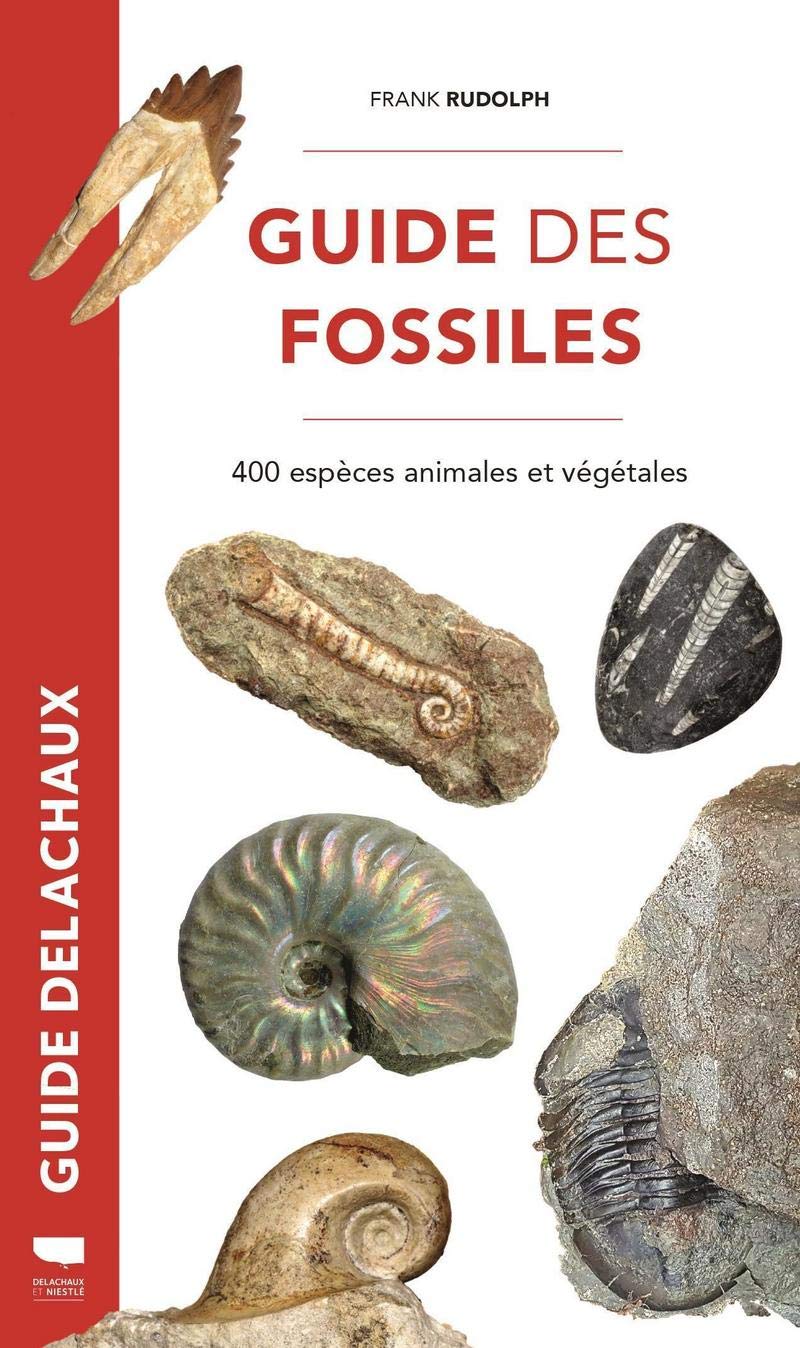 Guide des fossiles. 400 espèces animales et végétales, 2020, 288 p.