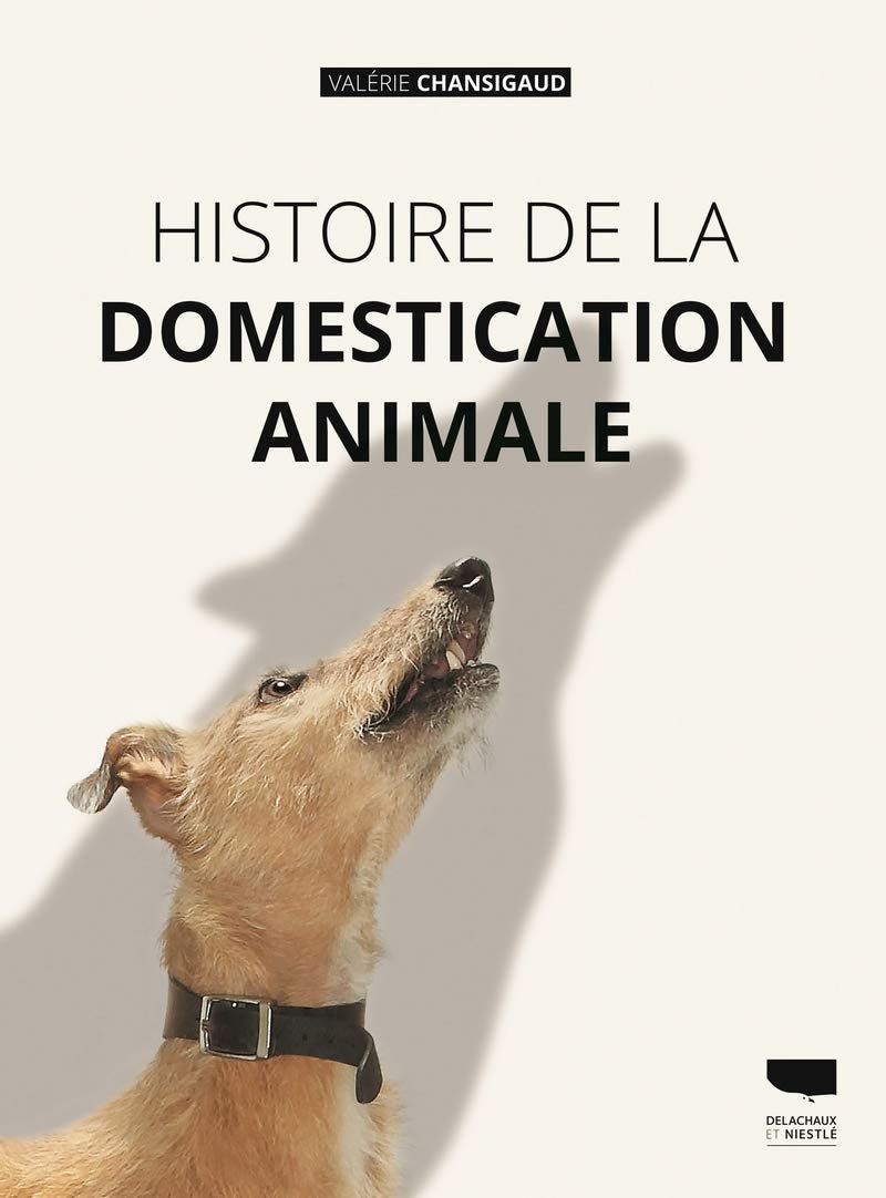 Histoire de la domestication animale, 2020, 400 p.