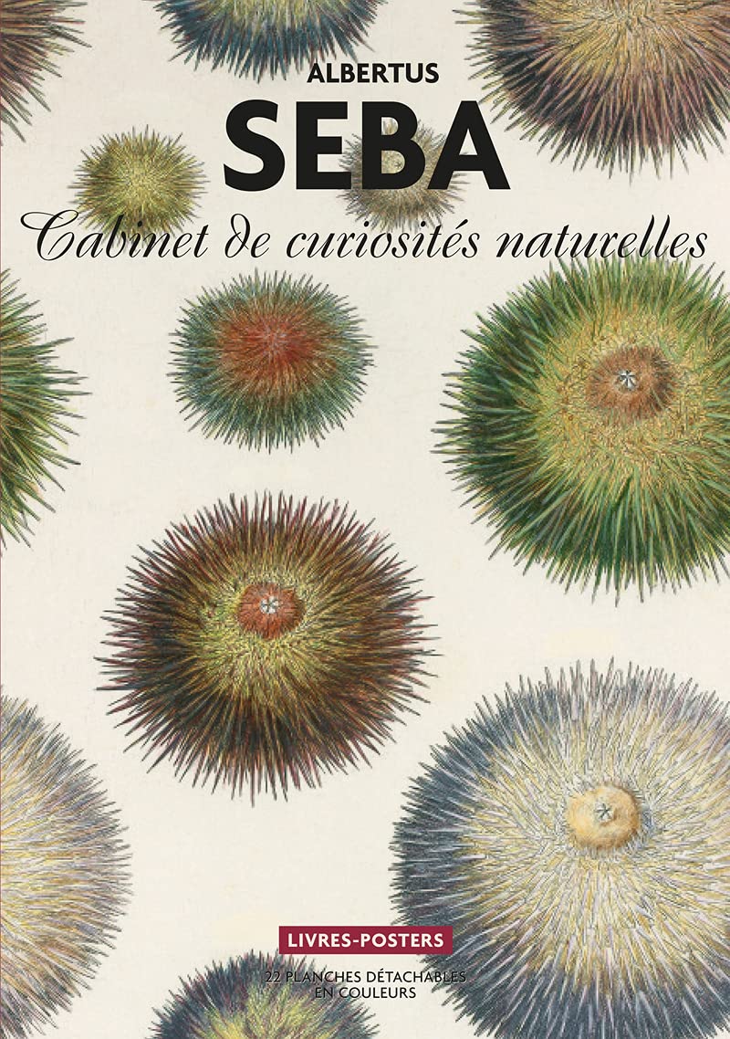 SEBA Albertus - Cabinet de curiosités naturelles, 2021, 22 planches détachables en couleurs