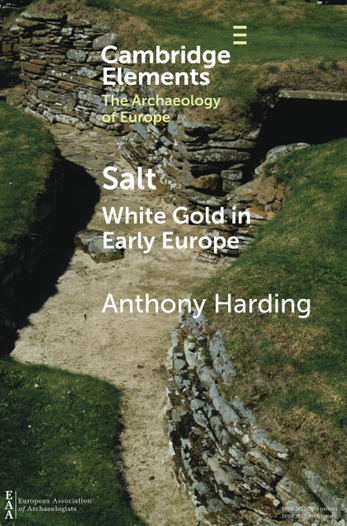Salt. White Gold in Early Europe, 2021, 102 p.