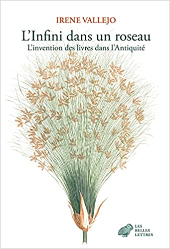 L'Infini dans un roseau. L'invention des livres dans l'Antiquité, 2021, 538 p.