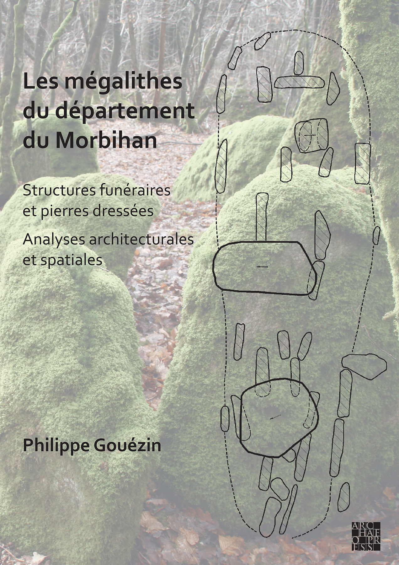 Les mégalithes du département du Morbihan. Structures funéraires et pierres dresses / Analyses architecturales et spatiales, 2022, 594 p., 313 ill.