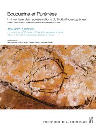 Bouquetins et Pyrénées. II – Inventaire des représentations du Paléolithique pyrénéen. Offert à Jean Clottes, Conservateur général du Patrimoine honoraire, 2022, 656 p.