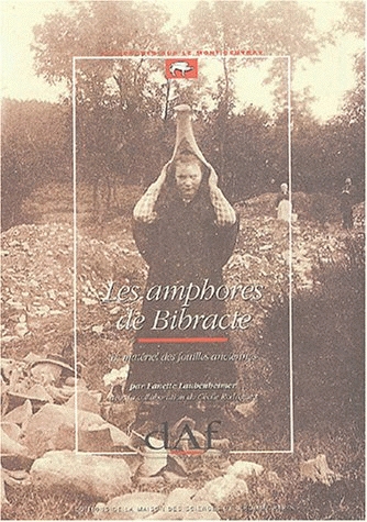 Les amphores de Bibracte. Le matériel des fouilles anciennes (DAF 29), 1991, 149 p., 144 fig., 40 pl.