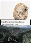 38 - Guadeloupe amérindienne, par Puech A., 2002, 120 p., 190 ph. coul., 10 n.b., 26 plans et schémas, restitutions en 3D.