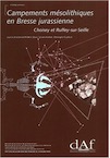 Campements mésolithiques en Bresse jurassienne. Choisey et Ruffey-sur-Seille, (DAF N°92), 2003, 344 p., 292 ill.