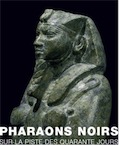 Pharaons Noirs, sur la piste des quarante jours, (cat. expo. Musée royal de Mariemont, Belgique, mars-sept. 2007), 2007, 250 p.