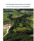 Die befestigte Höhensiedlung Toos Waldi von der Frühbronzezeit bis in die Spätantike, (Archäologie im Thurgau 15), 2009, 180 p., 135 ill., 44 tabl.