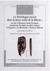 Le Néolithique ancien dans la basse vallée de la Marne : un site Villeneuve-Saint-Germain producteur de lames en silex tertiaire à Ocquerre « La Rocluche » (Seine-et-Marne), (Travaux SPF 9), 2009, 139 p.