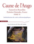 Caune de l'Arago, Tautavel-en-Roussillon, Pyrénées-Orientales, France. Tome VI. Individualisation des unités archéostratigraphiques, 2015, 642 p.