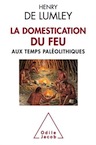 La Domestication du feu aux temps paléolithiques, 2017, 192 p.