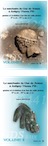 Le sanctuaire du Gué-de-Sciaux à Antigny (Vienne, FR) : genèse et évolution d'un lieu de culte Picton (Ier s. av. - IVe s. ap. J.-C.), 2018, 2 volumes.