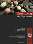 Sanctuaires de l'âge du Fer, (actes du 41e coll. AFEAF, Dole 2017), 2019, 494 p., nbr. ill. coul.