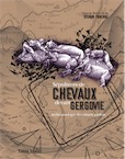 Sépultures de chevaux devant Gergovie. Archéozoologie des rituels gaulois, 2019, 280 p.