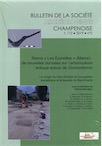 Reims « Les Epinettes » (Marne) : de nouvelles données sur l'arboriculture antique autour de Durocortorum. Le verger du Haut-Empire et l'occupation domestique et artisanale du Bas-Empire, 2020, 190 p.