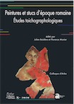 Peintures et stucs d'époque romaine. Études toichographologiques, (colloque d'Arles), (Pictor 8), 2020, 460 p.