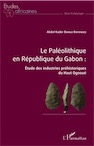 Le Paléolithique en République du Gabon. Étude des industries préhistoriques du Haut Ogooué, 2021, 322 p.