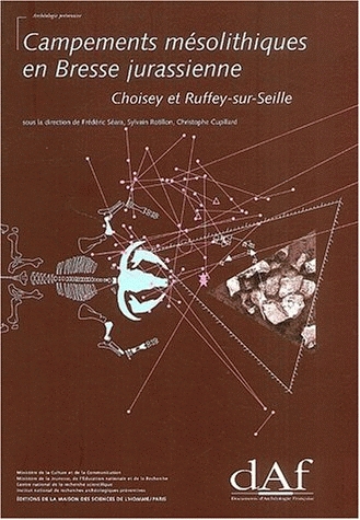 Campements mésolithiques en Bresse jurassienne. Choisey et Ruffey-sur-Seille, (DAF N°92), 2003, 344 p., 292 ill.