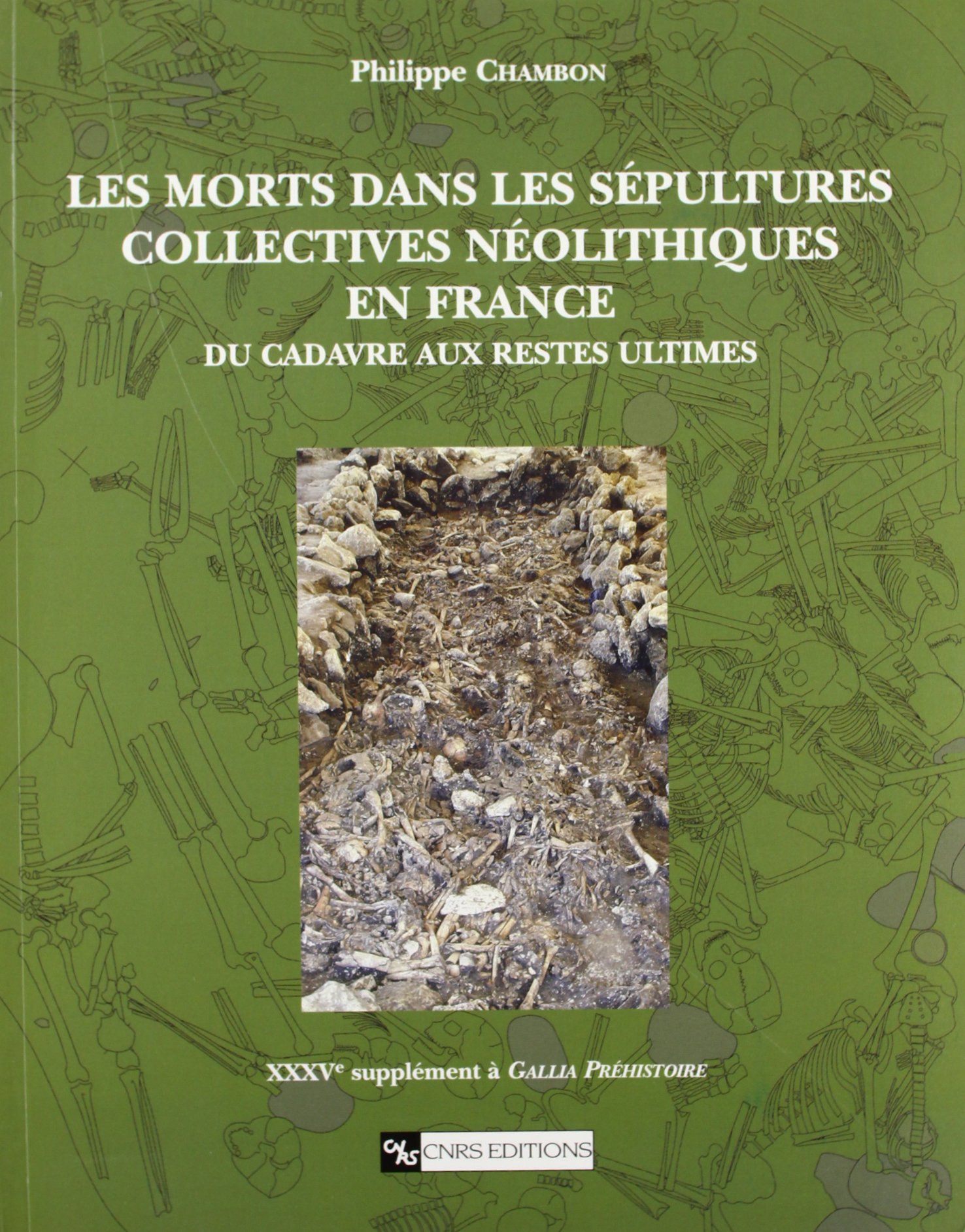 Les Morts dans les sépultures collectives néolithiques en France. Du cadavre aux restes ultimes, (Suppl. à Gallia Préhistoire, 35), 2003, 400 p., 160 dessins, br.