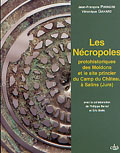 ÉPUISÉ - Les nécropoles protohistoriques des Moidons et le site princier du Camp du Château à Salins (Jura), 2004, 430 p.