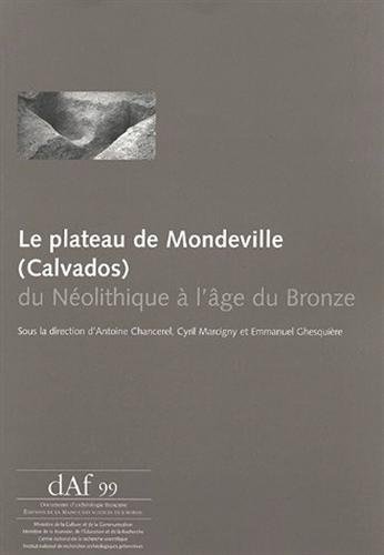Plateau de Mondeville (Calvados) du Néolithique a l'Age du Bronze, (DAF 99), 2006, 208 p.
