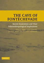The Cave of Fontéchevade. Recent Excavations and Their Paleoanthropological Implications, 2009, 288 p., 88 ill. n.b.